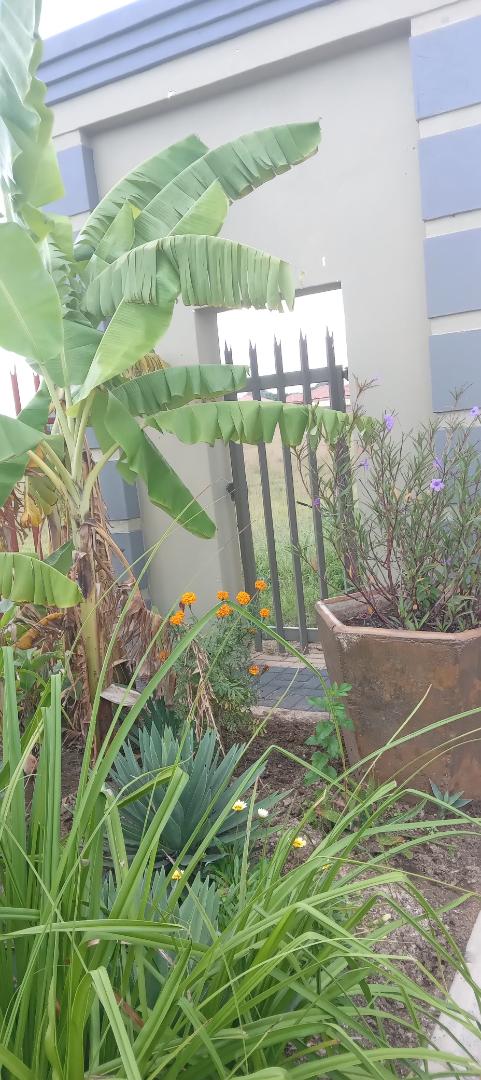 0 Bedroom Property for Sale in Brits North West